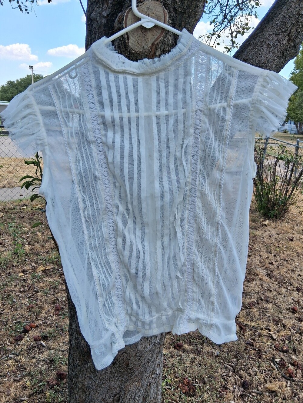 Y2K Women’s Sheer Lace Pintuck Blouse - Cream Tramp Brand Medium